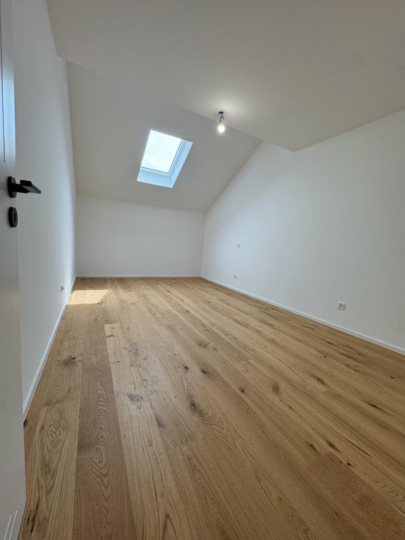 Exceptional fully renovated triplex apartment for sale (5)