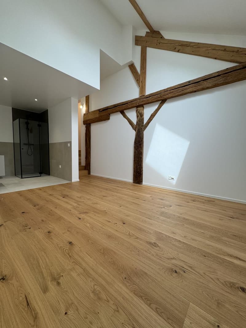 Exceptional fully renovated triplex apartment for sale (6)