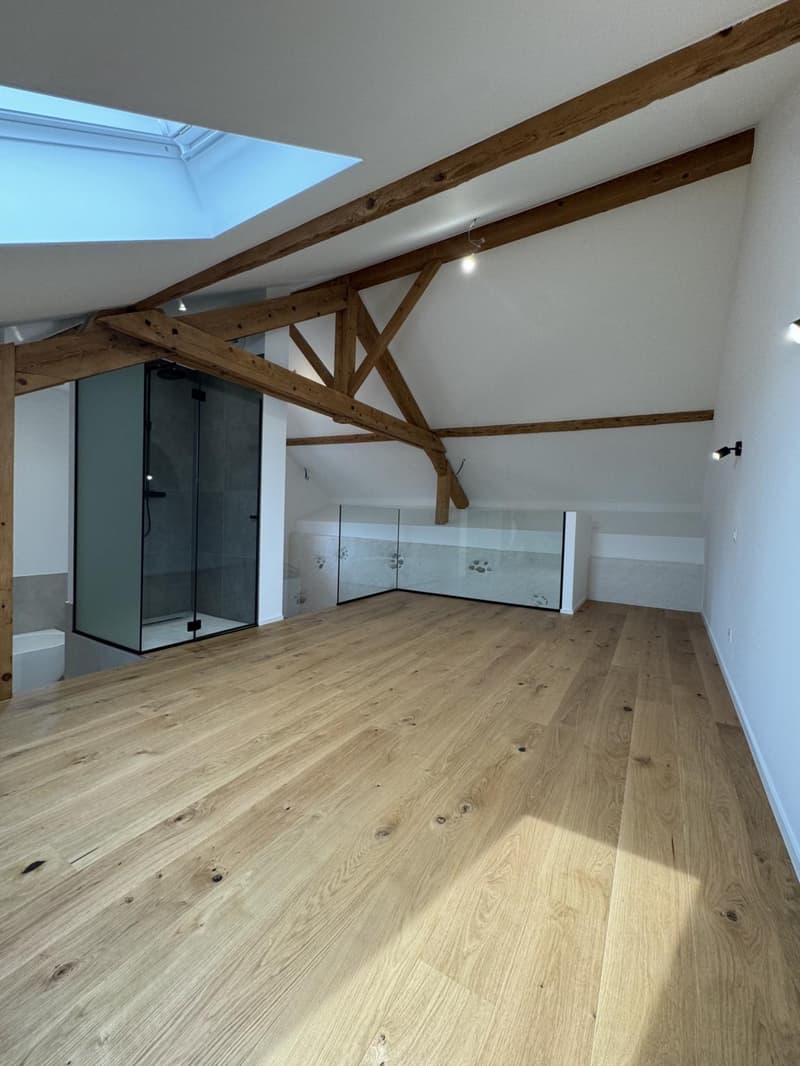 Exceptional fully renovated triplex apartment for sale (9)