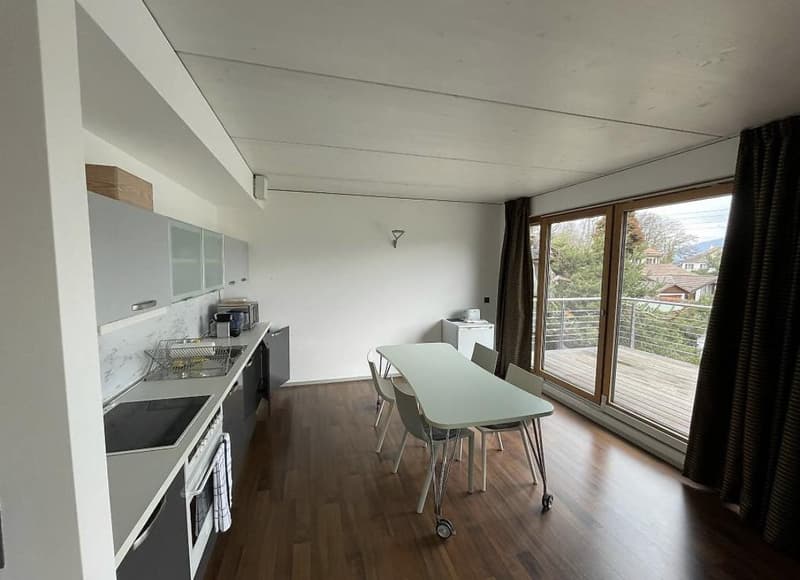 Appartamento arredato 3.5 locali con grande terrazza a Genthod (2)