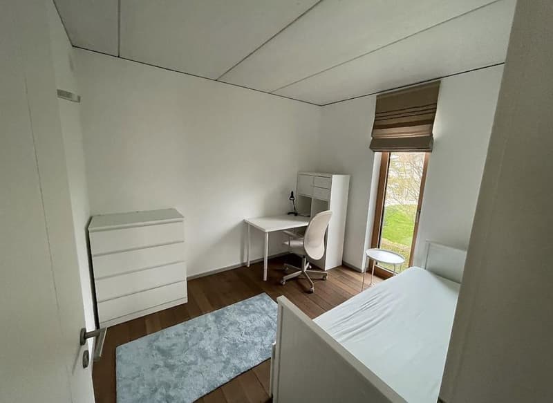 Appartamento arredato 3.5 locali con grande terrazza a Genthod (5)