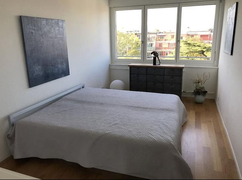 Four-room apartment with a view of the lake and the jet of water (5)