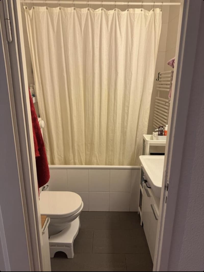 Appartement 4 Zimmer mit Blick auf den See & Wasserstrahl (5)