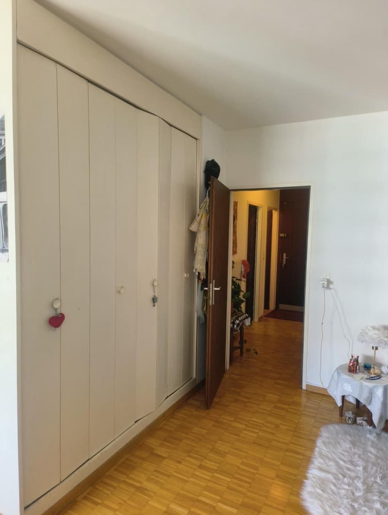 Appartamento di due locali a Servette (3)