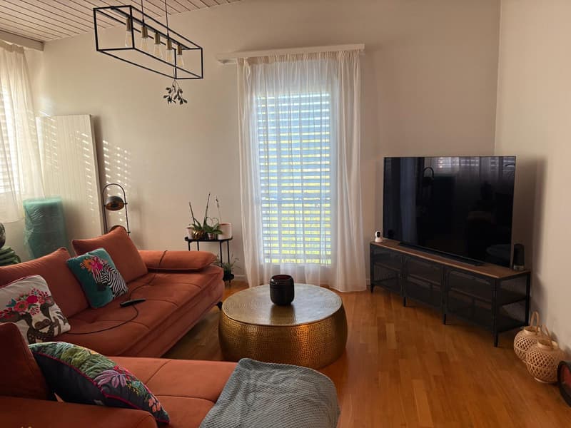 Appartement rénové 3,5 pièces (1)