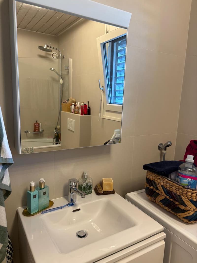 Appartement rénové 3,5 pièces (7)