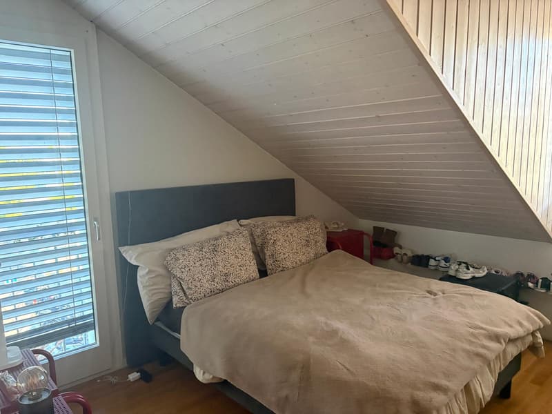 Appartement rénové 3,5 pièces (4)