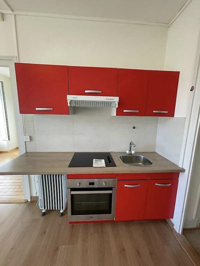 Appartamento di due locali a Jonction (3)
