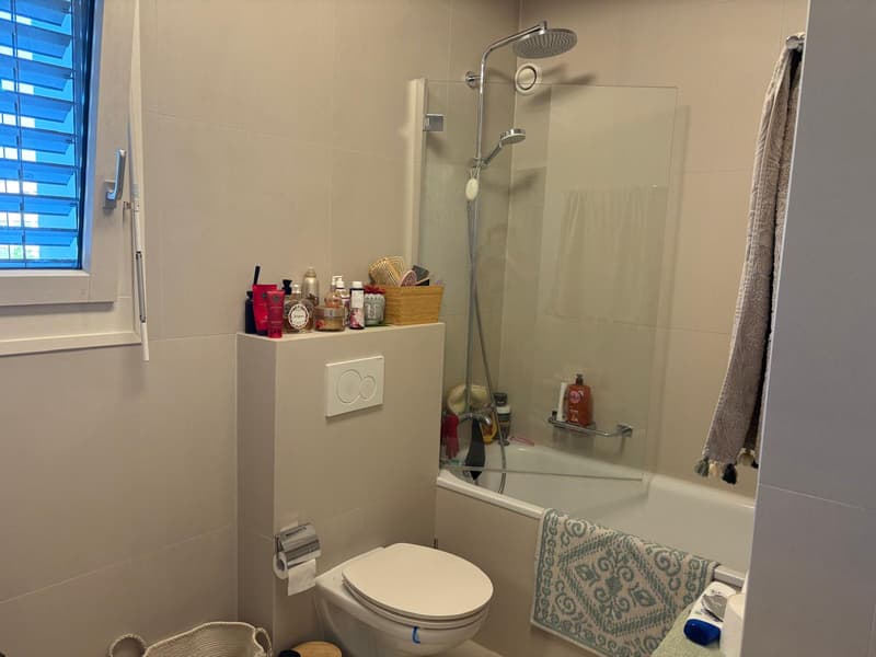 Renovated 4-room apartment (5)