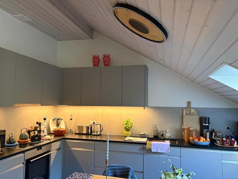 Renovated 4-room apartment (3)