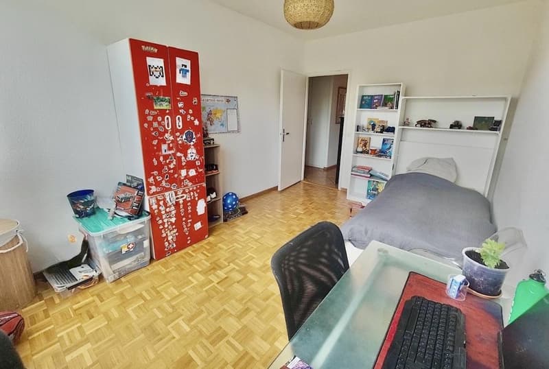 Spacious apartment close to international organizations (6)