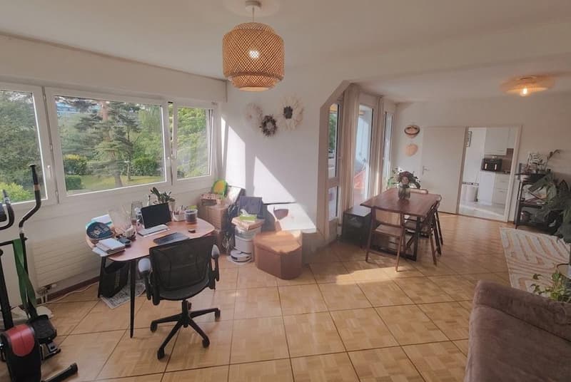 Spacious apartment close to international organizations (1)