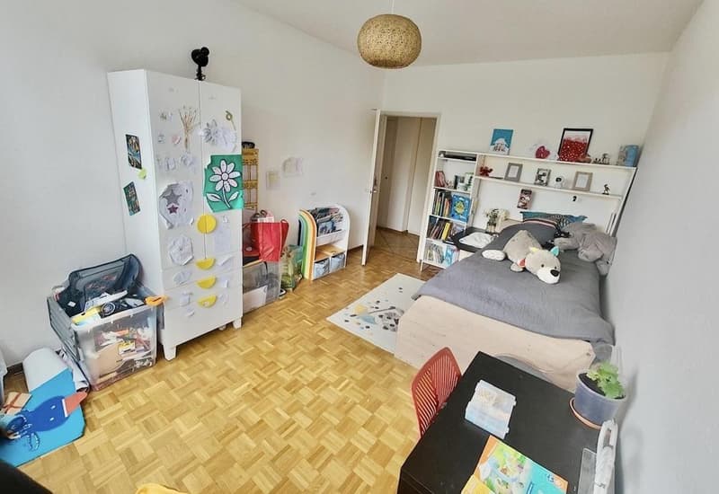 Spacious apartment close to international organizations (7)