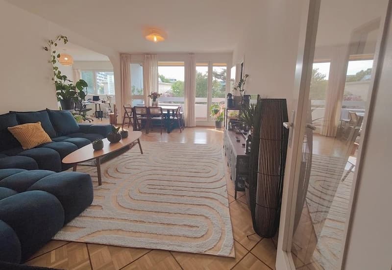 Spacious apartment close to international organizations (2)