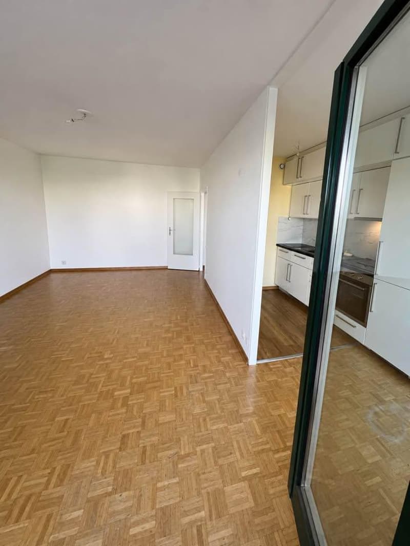 Quiet Apartment in Versoix (4)