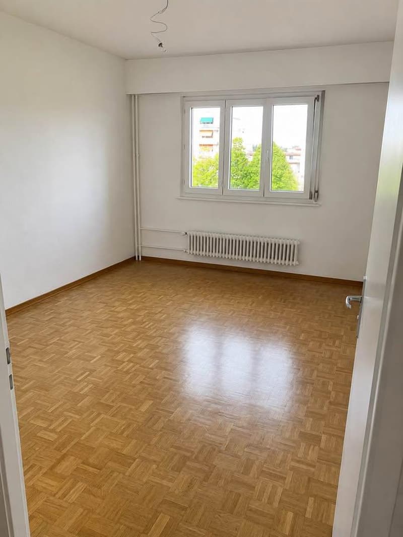 Quiet Apartment in Versoix (3)