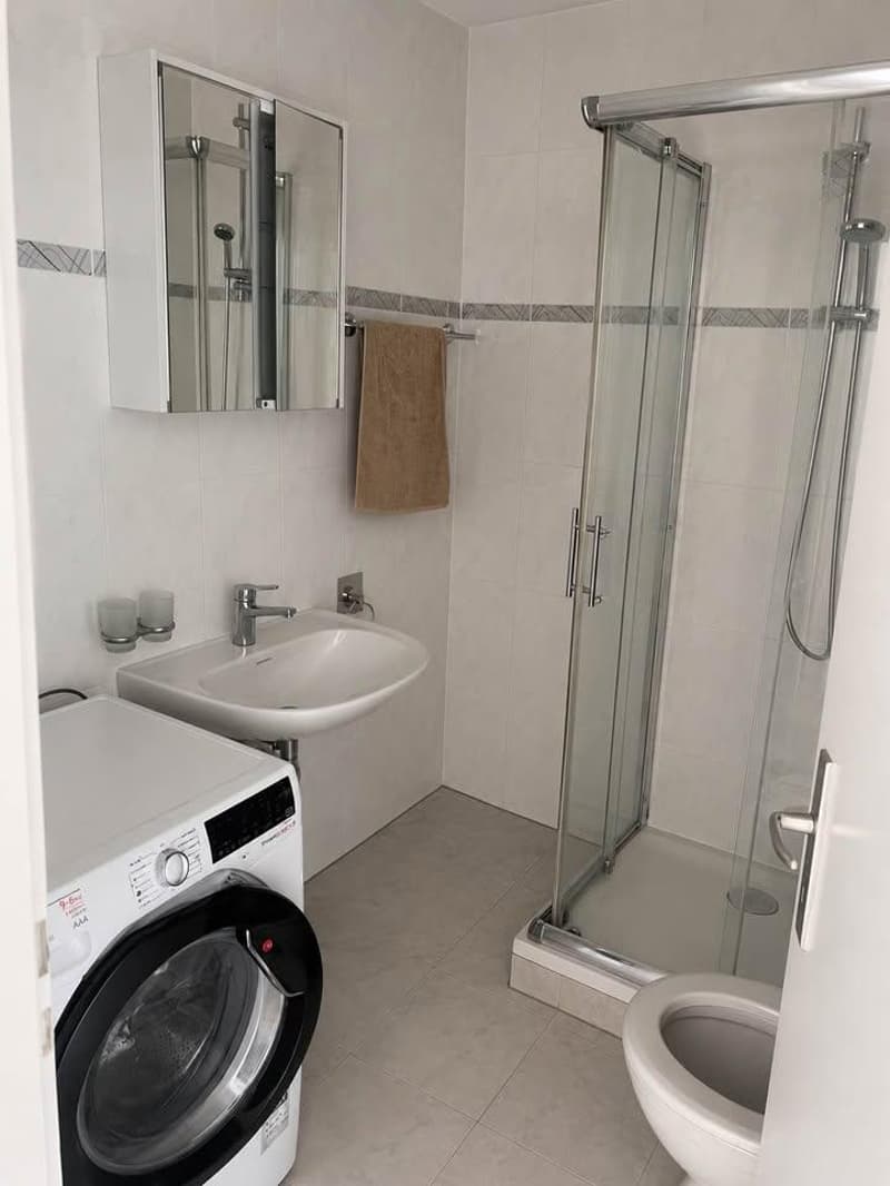 Quiet Apartment in Versoix (2)