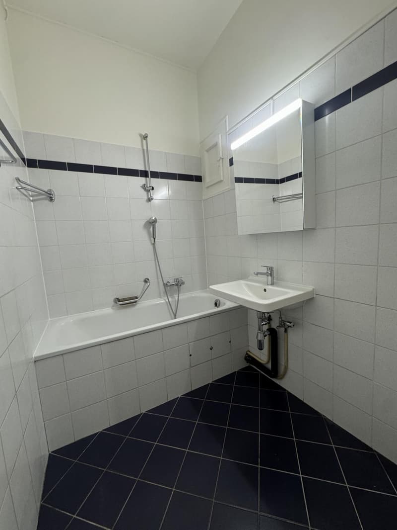 Exklusives 4-Zimmer-Apartment (6)