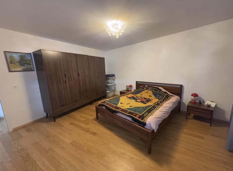 Bel appartement 2,5 pièces à la Jonction (7)