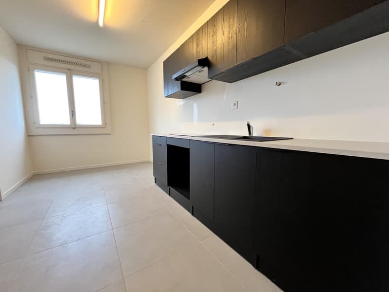 Exclusivité ? Appartement rénové de 4 chambres, 177 m² PPE, vue panoramique (Meyrin) (4)