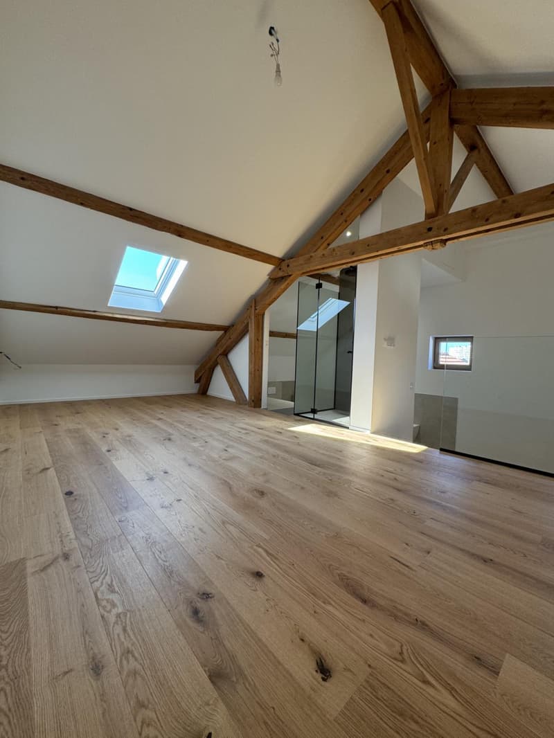 Appartement triplex d'exception entièrement rénové à vendre - (13)