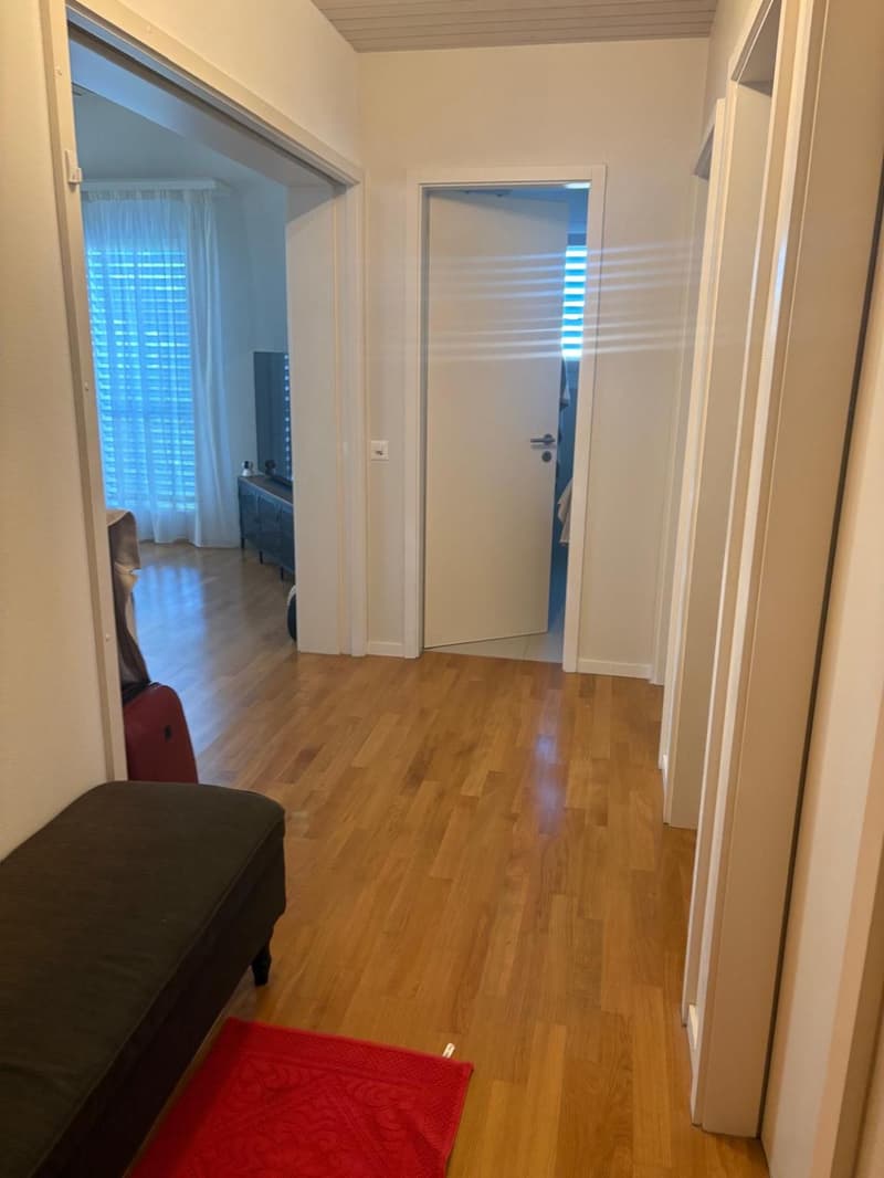 Appartamento ristrutturato 4 locali (4)