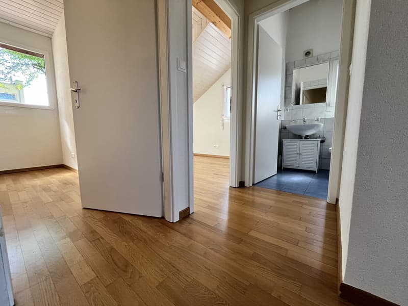 Villa Familiale à Pregny-Chambésy (11)
