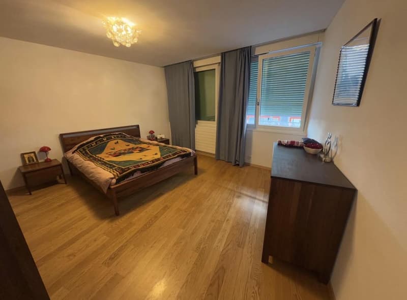 Bello appartamento 2,5 locali alla Jonction (8)