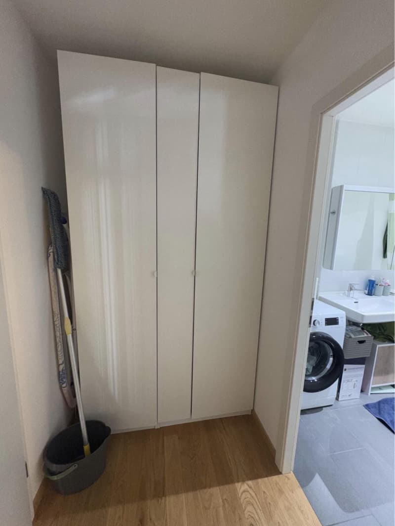 Bello appartamento 2,5 locali alla Jonction (6)