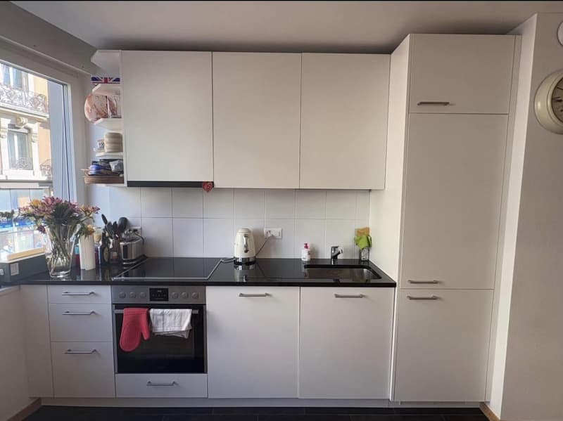 Bello appartamento 2,5 locali alla Jonction (2)