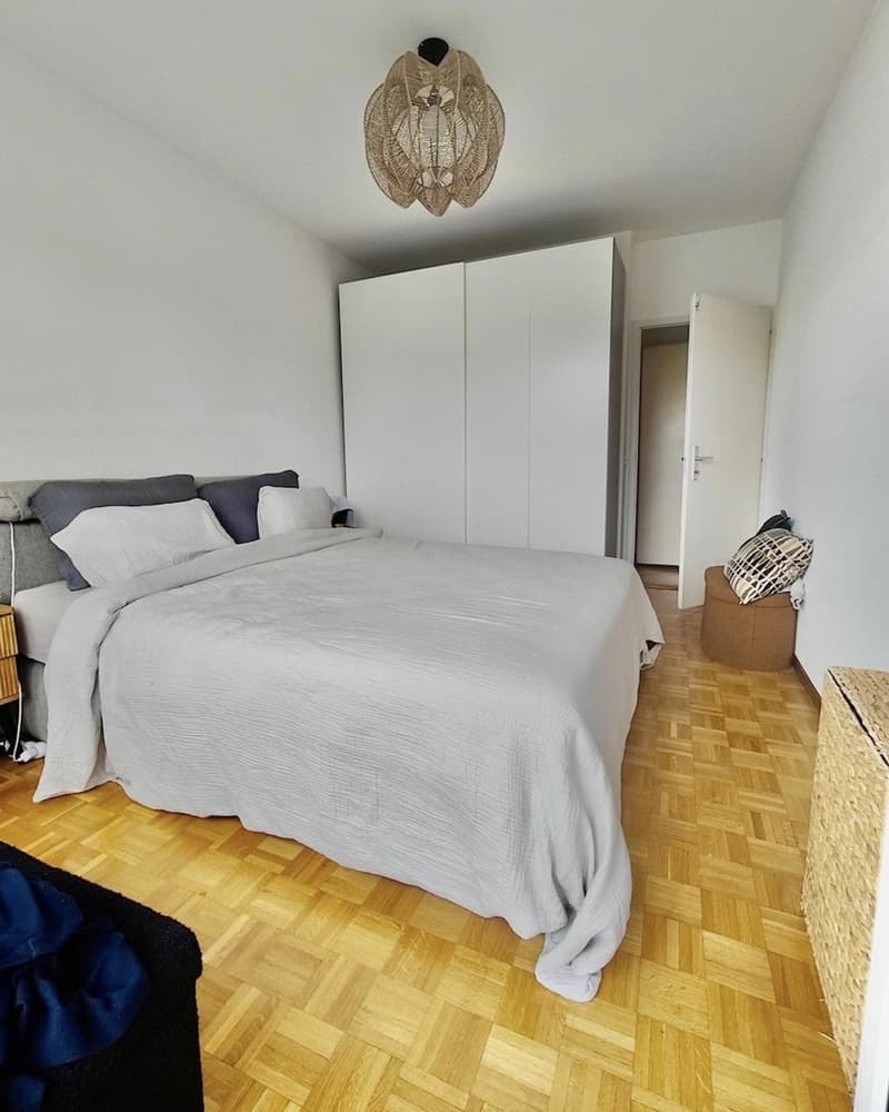 Geräumige Wohnung in der Nähe internationaler Organisationen (5)