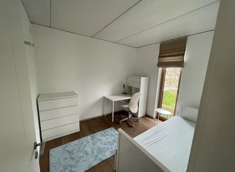 Bello appartamento 3.5 locali arredato (4)