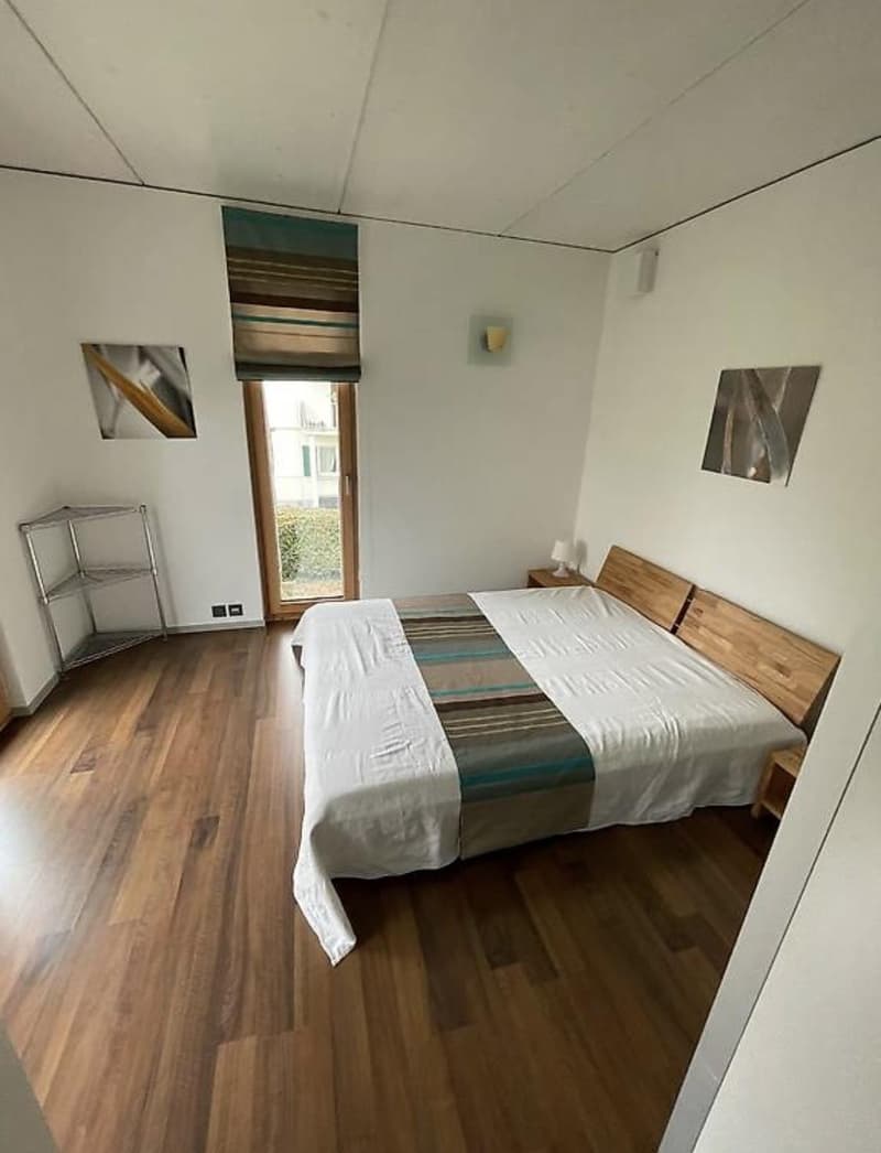 Bello appartamento 3.5 locali arredato (3)
