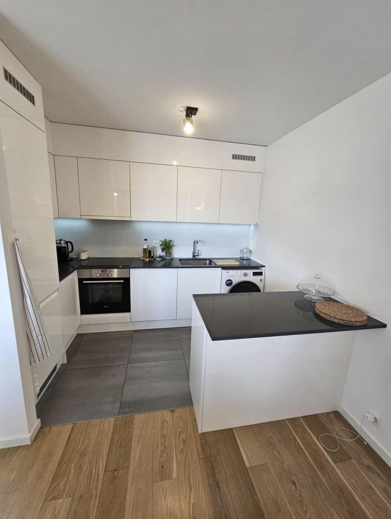Appartement 3,5 pièces moderne et rénovée (3)