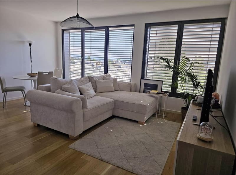 Appartement 3,5 pièces moderne et rénovée (1)