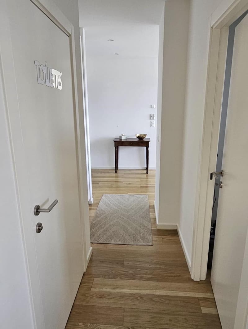 Appartement 3,5 pièces moderne et rénovée (6)