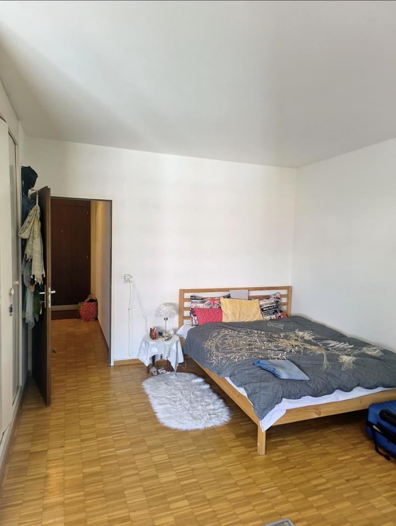 Appartamento di due locali a Servette (1)