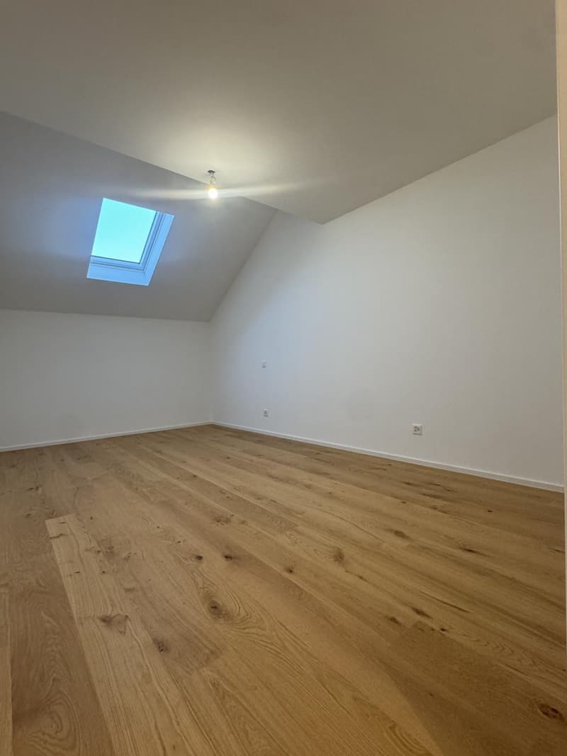 Appartement triplex d'exception entièrement rénové de 5,5 pièces en exclusivité - (10)