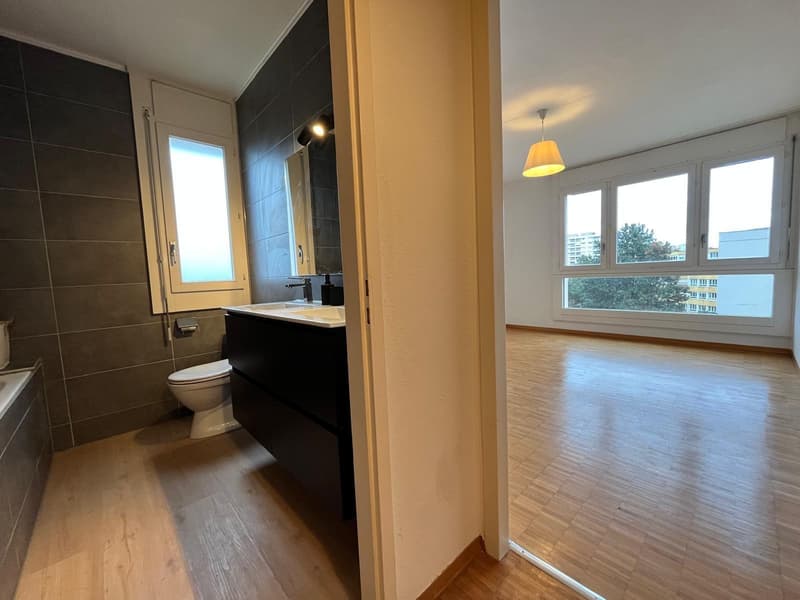 Exclusivité ? Appartement rénové de 4 chambres, 177 m² PPE, vue panoramique (Meyrin) (7)
