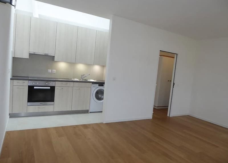 Bel appartement 2.5 pièces en attique (2)