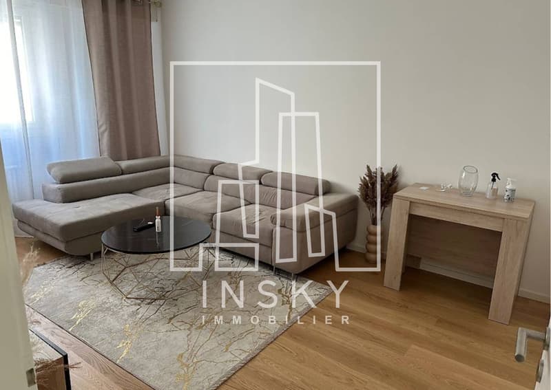 Appartement de 3 pièces au centre ville de Genève (1)