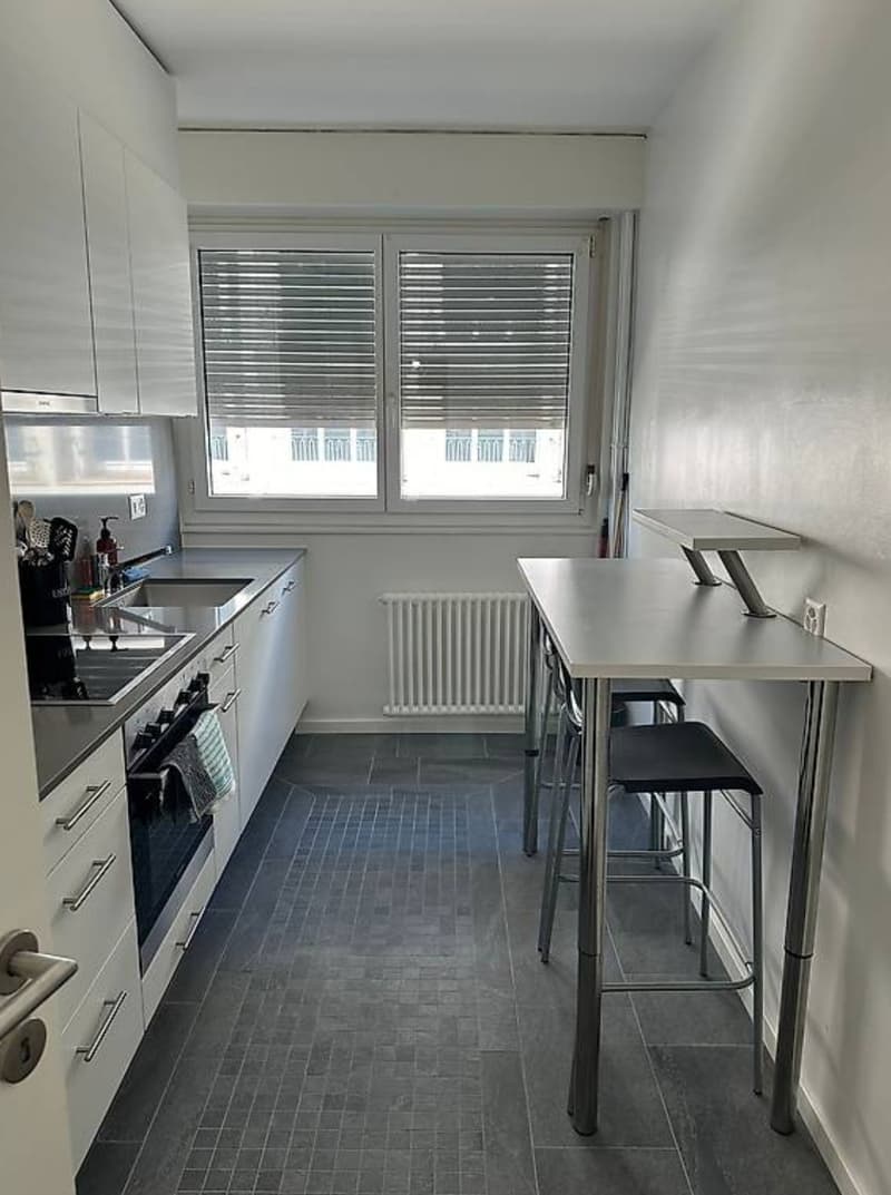 3-room apartment in the city center of Geneva (2)