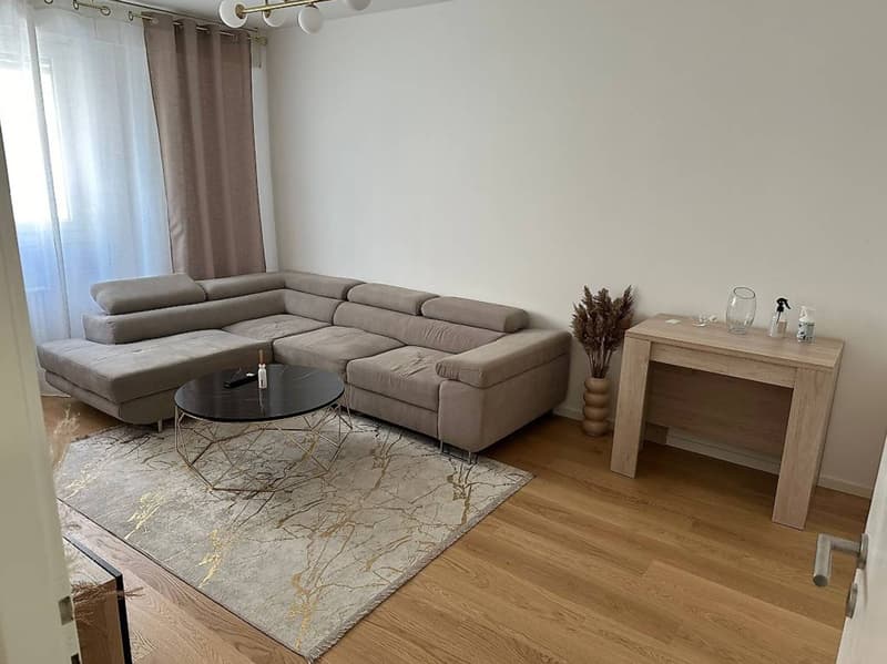 3-room apartment in the city center of Geneva (1)