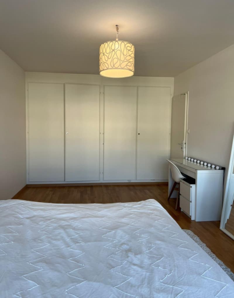 Renovated 4-room apartment on the 5th floor with a view (4)