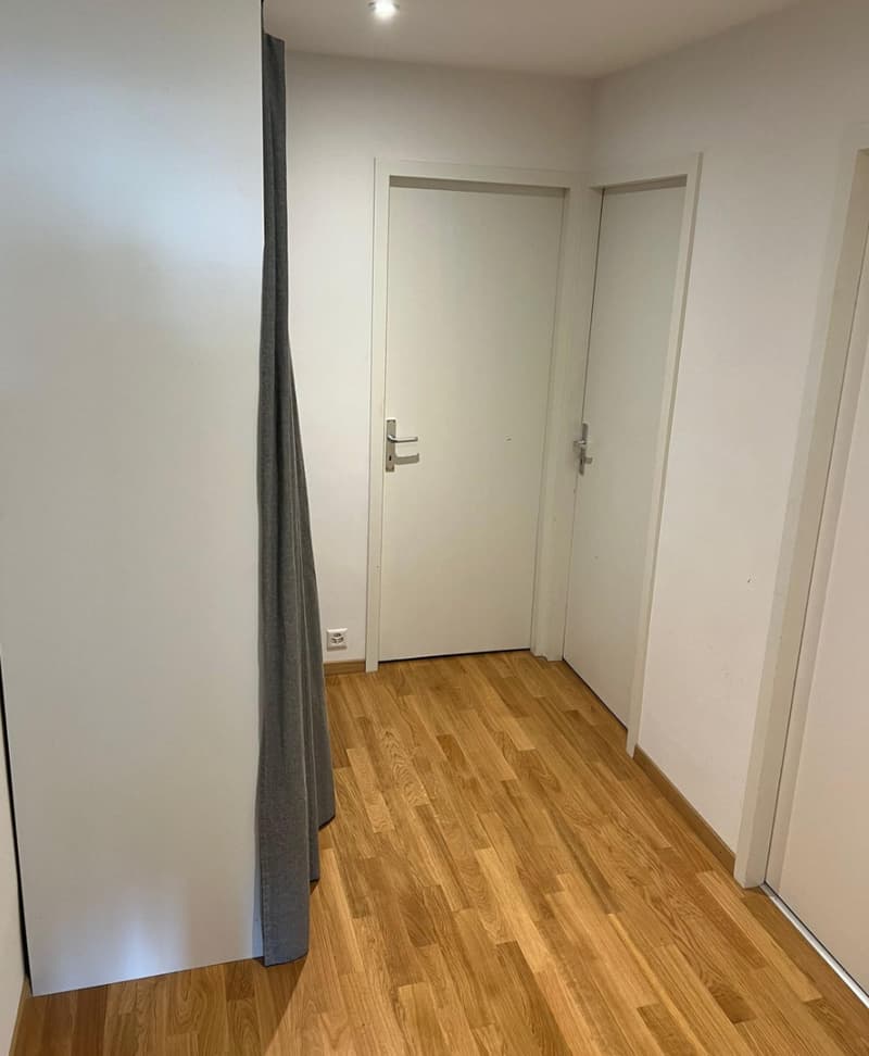 Renovated 4-room apartment on the 5th floor with a view (7)