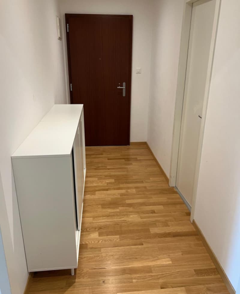 Renovated 4-room apartment on the 5th floor with a view (6)