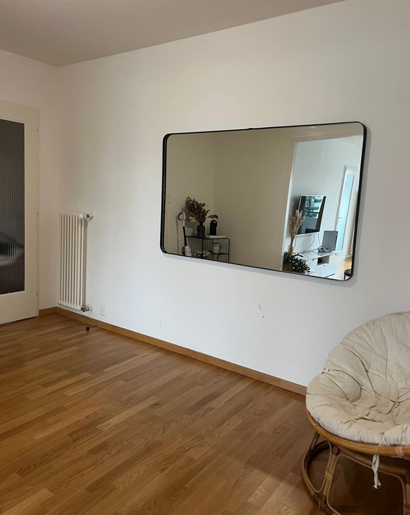 Renovated 4-room apartment on the 5th floor with a view (1)