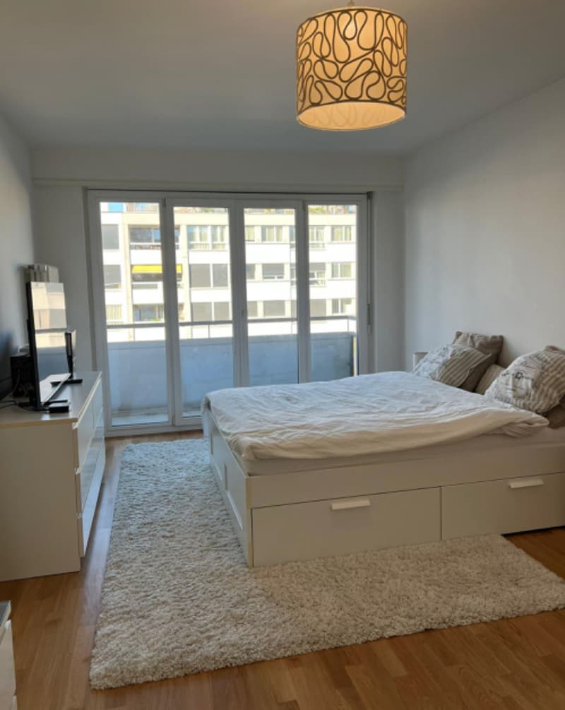 Renovated 4-room apartment on the 5th floor with a view (3)