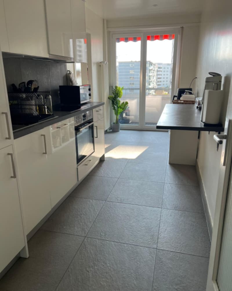 Renovated 4-room apartment on the 5th floor with a view (2)
