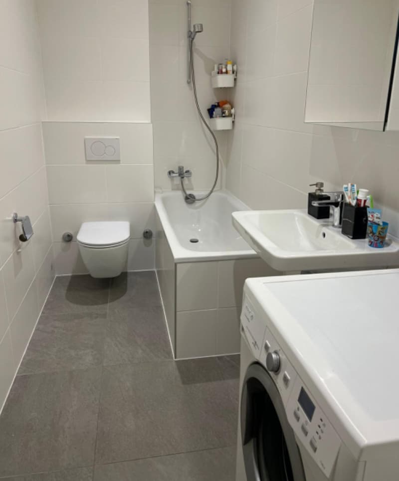 Renovated 4-room apartment on the 5th floor with a view (8)